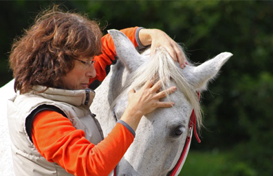 Behandlung eines Pferdes