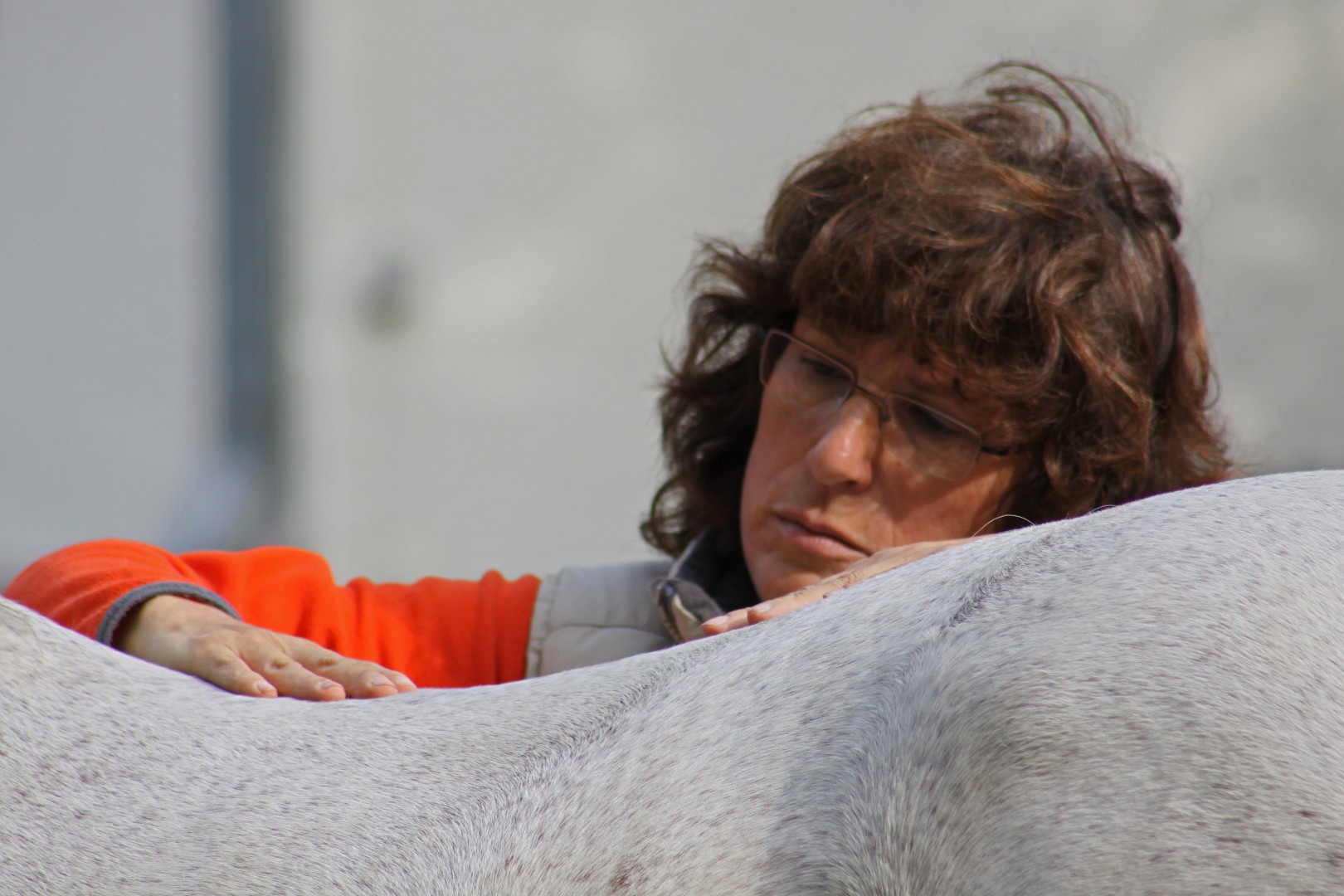 Monika Hornburg behandelt ein Pferd