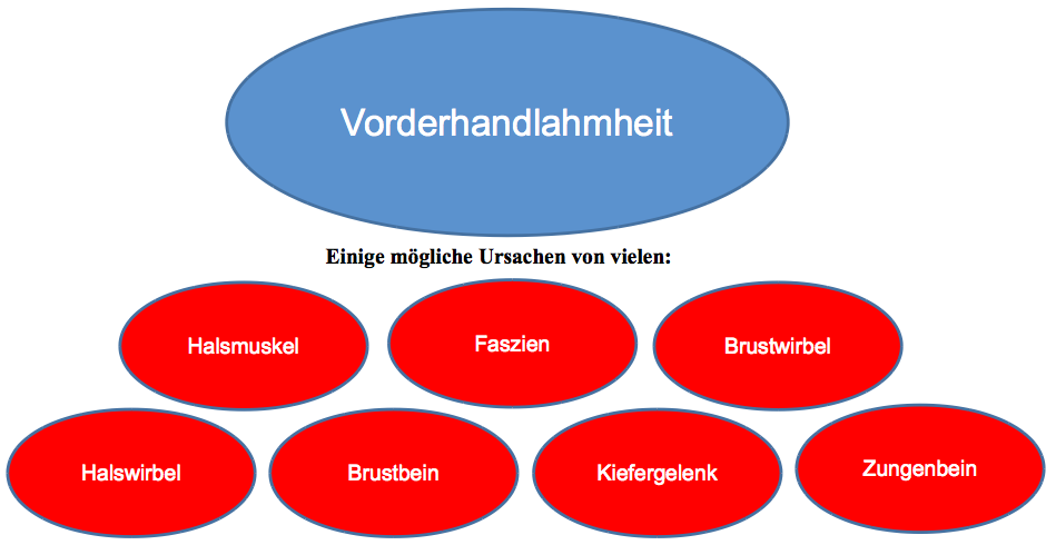 Schaubild Osteopathie